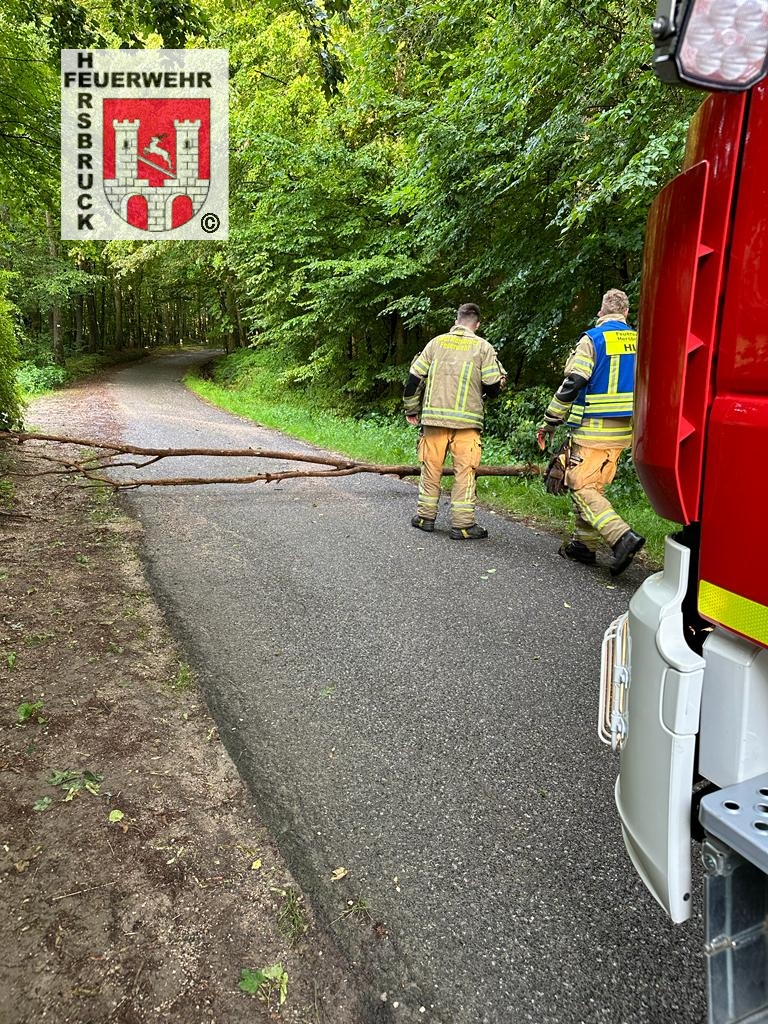 Technische Hilfeleistung Technische Hilfeleistung
