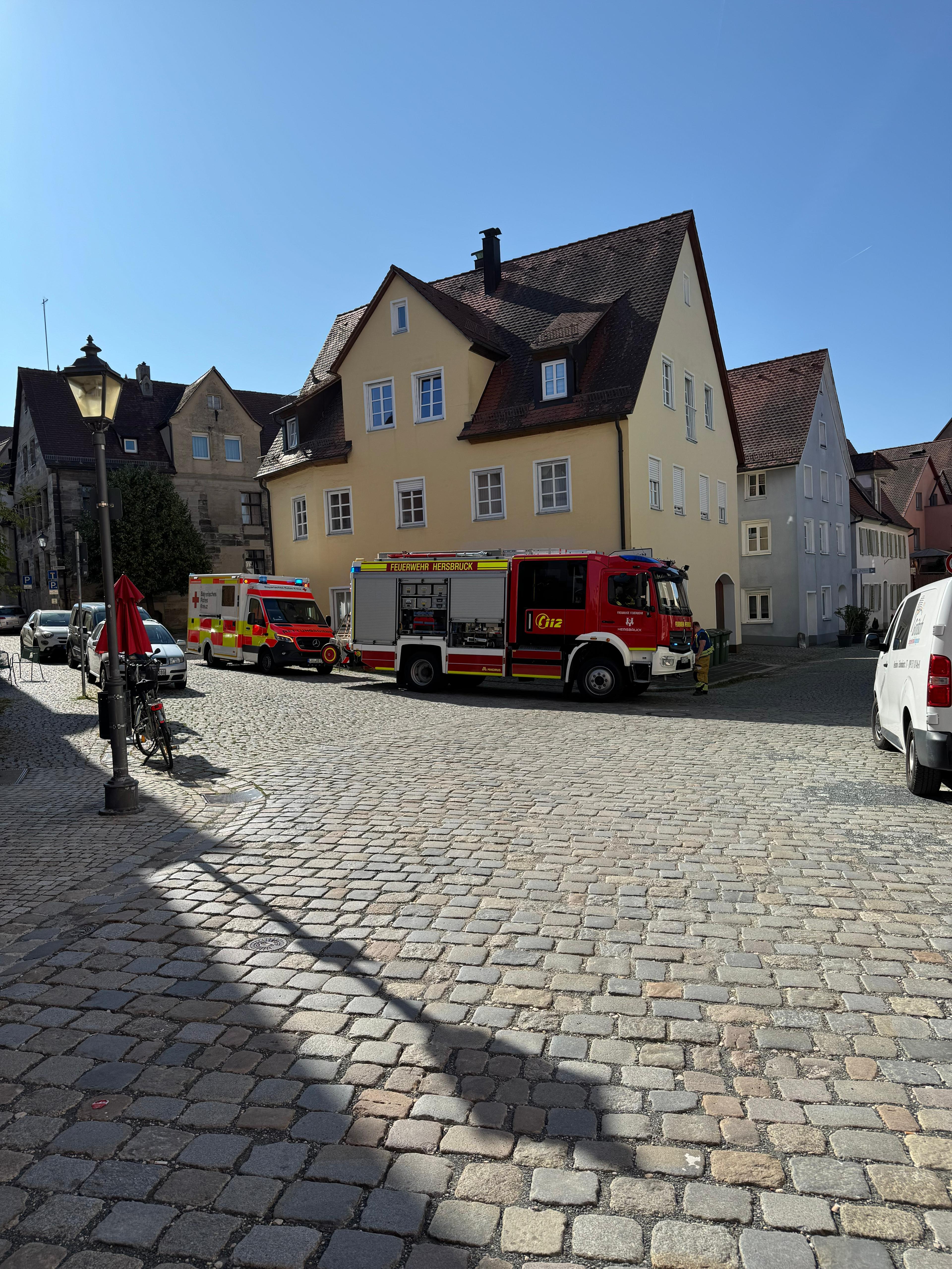Einsatzfoto THL FIRST RESPONDER - RD - ...