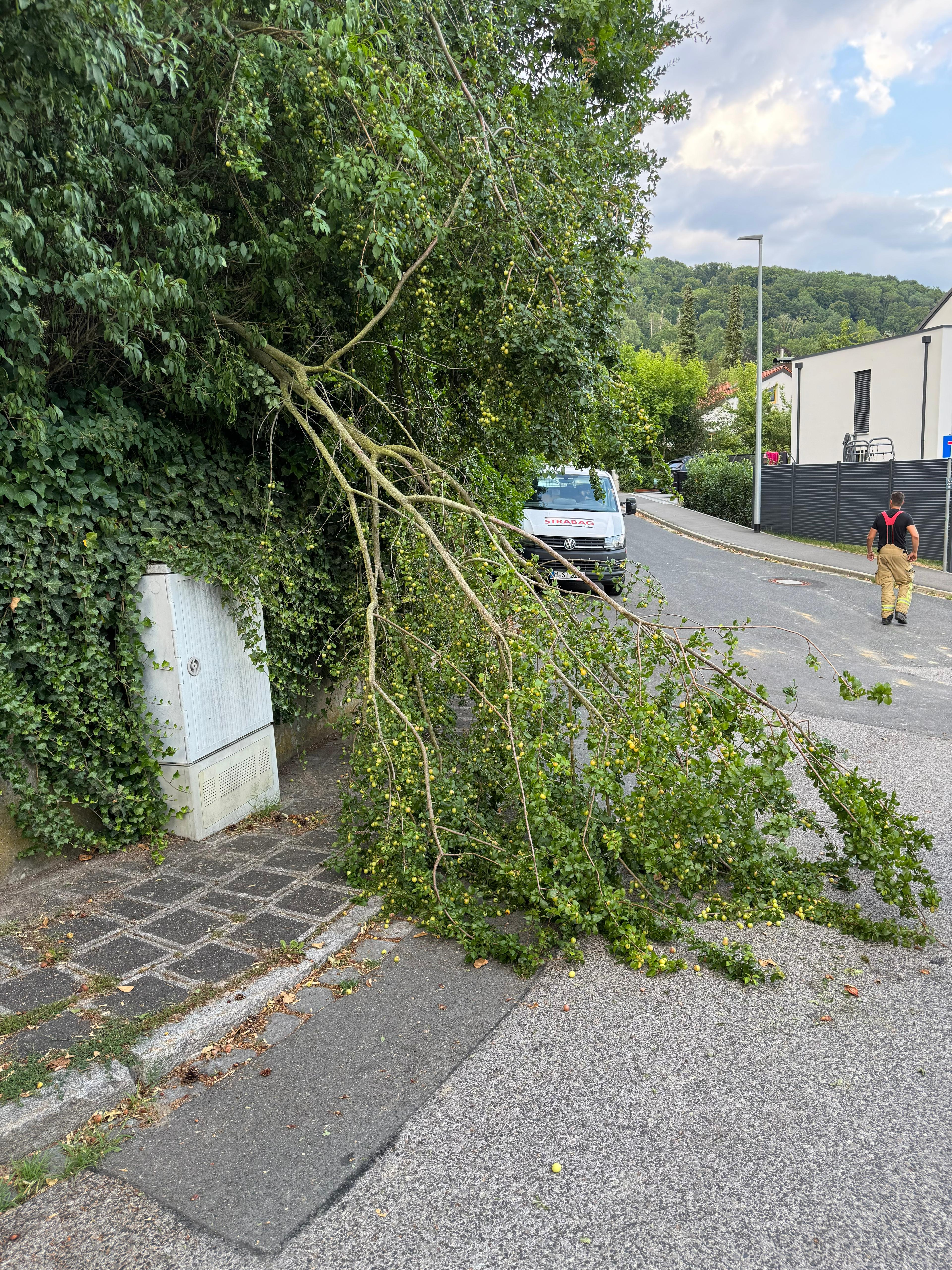 Einsatzfoto  THL 1 - klein - Baum auf ...
