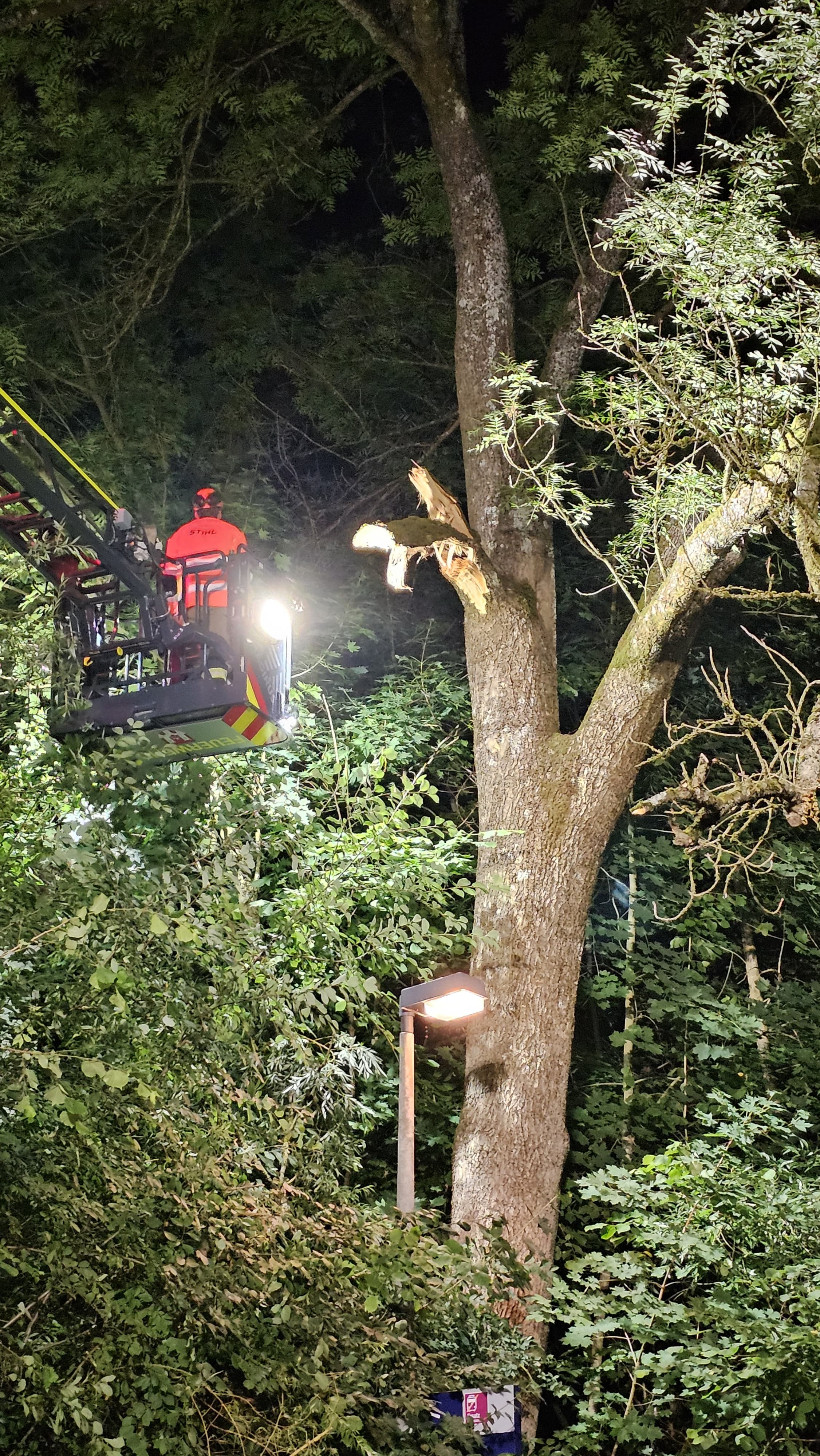 Einsatzfoto  THL 1 - klein - Baum auf ...