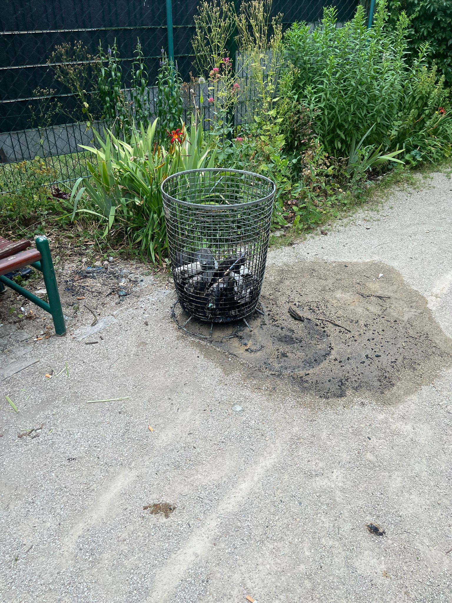Einsatzfoto  B 1 - im Freien - Abfall-, ...