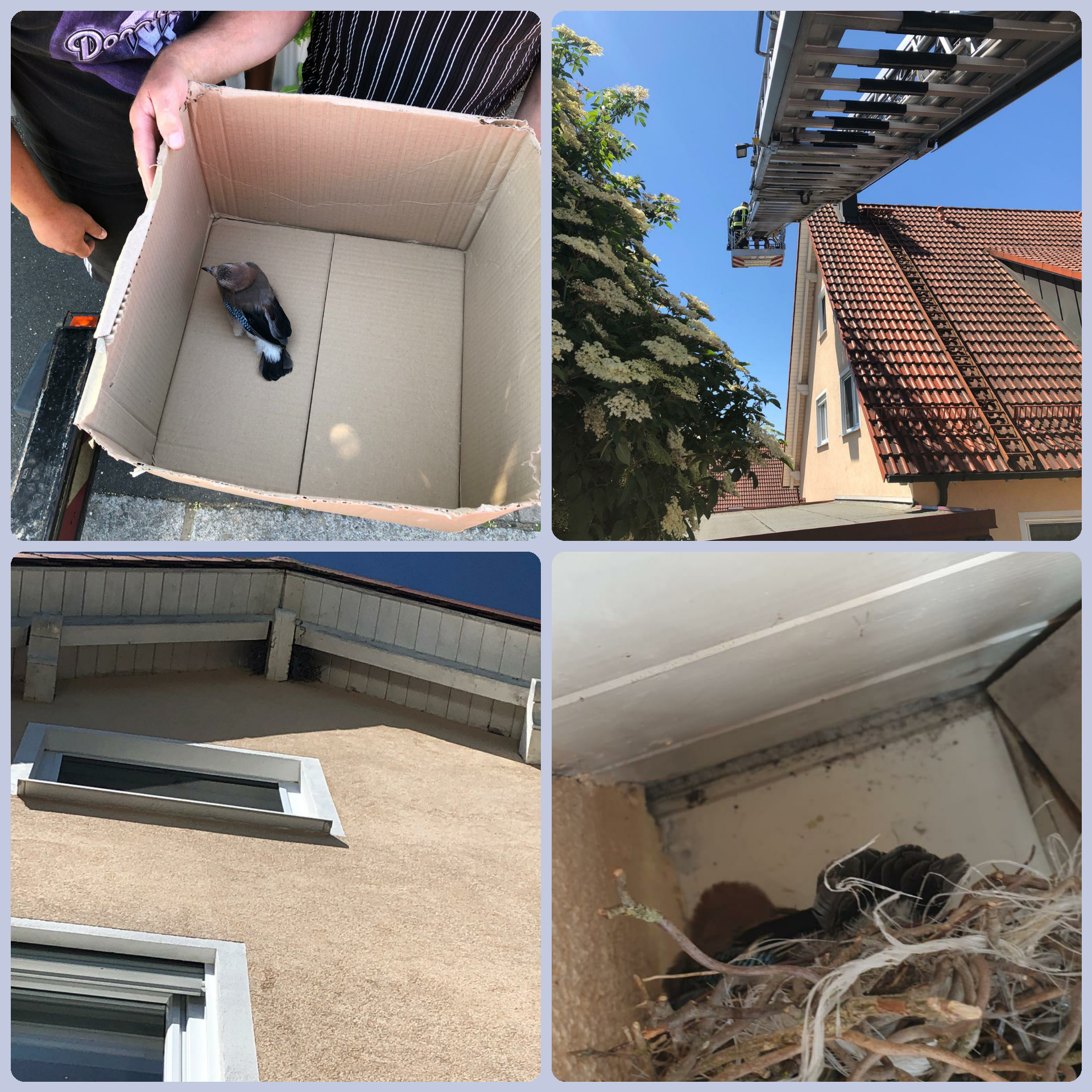 Tierrettung Tierrettung