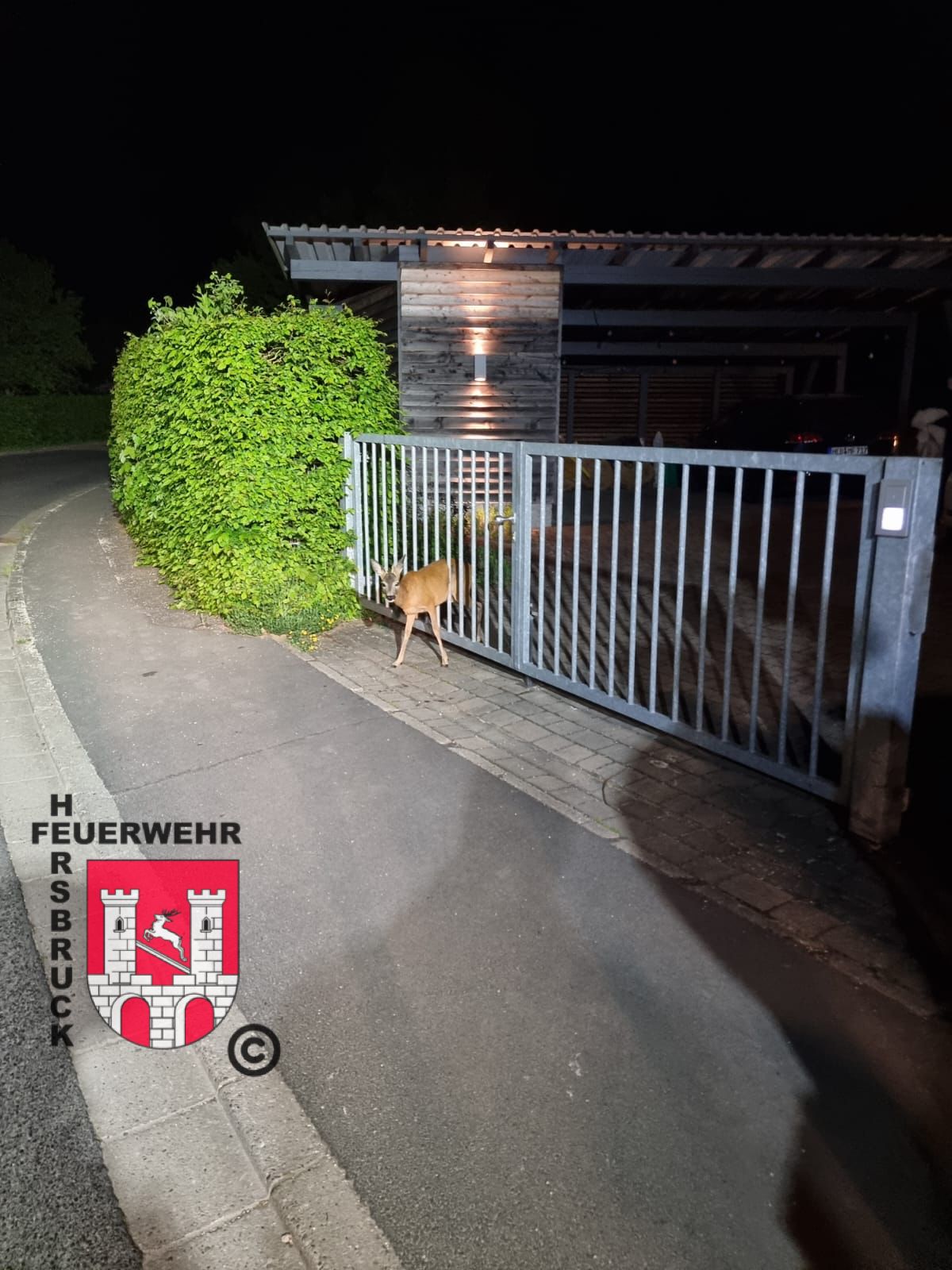 Tierrettung Tierrettung