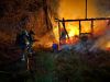 Brand